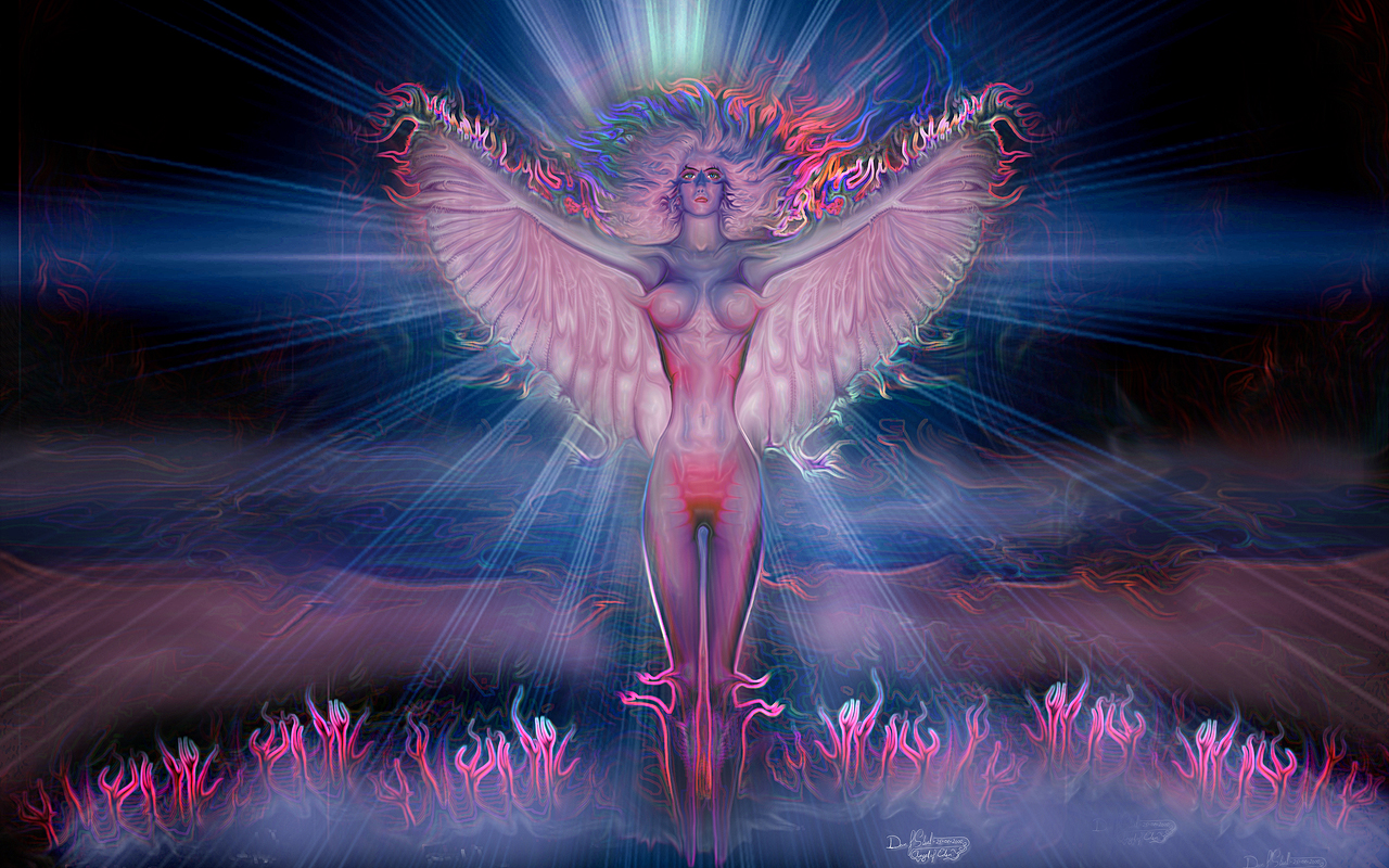 Angel Of Eden Daniel F Staal