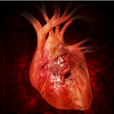 BLACK DOORS — Hellheart Portal